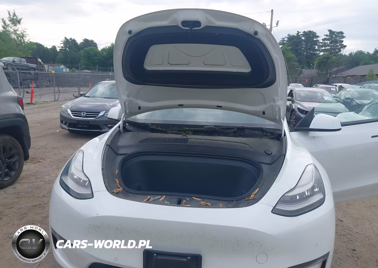 2020 Tesla Model Y Long Range Dual Motor All-Wheel Drive VIN:5YJYGDEE3LF031940 - 10