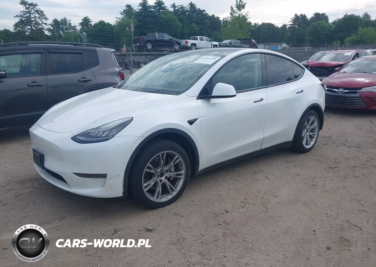 2020 Tesla Model Y Long Range Dual Motor All-Wheel Drive VIN:5YJYGDEE3LF031940 - 2