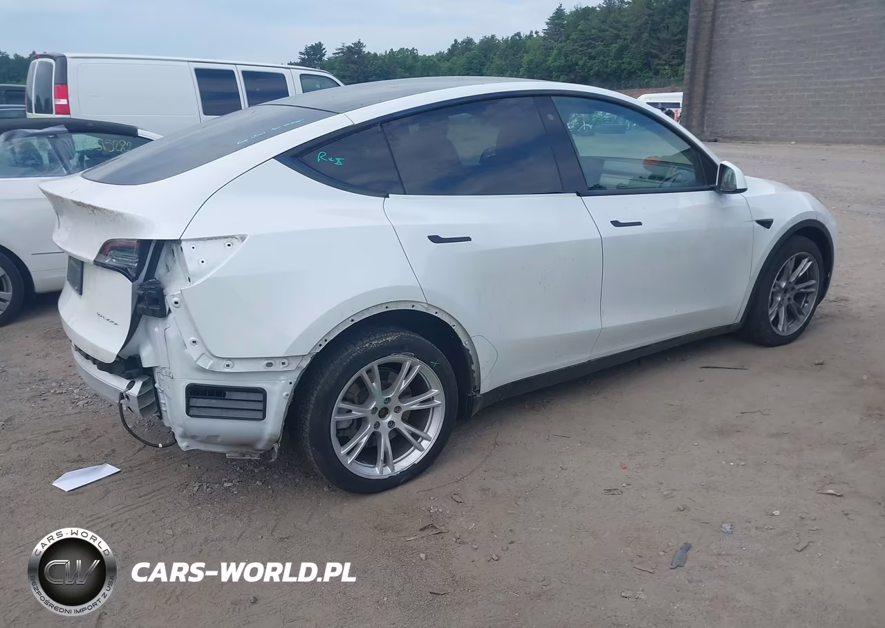 2020 Tesla Model Y Long Range Dual Motor All-Wheel Drive VIN:5YJYGDEE3LF031940 - 4