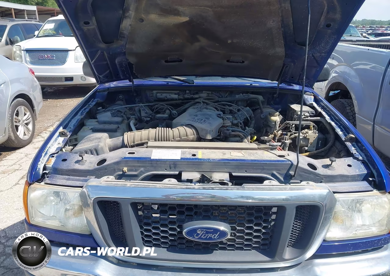 2005 Ford Ranger Edge-Fx4 Level Ii-Fx4 Off-Road-Xlt VIN:1FTZR45E55PA62954 - 10