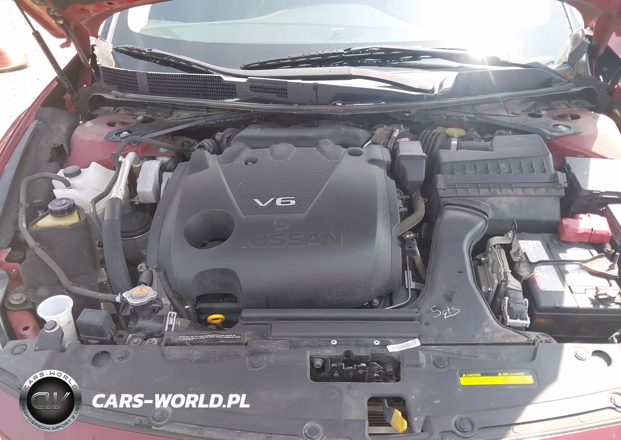 2017 Nissan Maxima 3.5 Platinum VIN:1N4AA6AP1HC454810 - 10