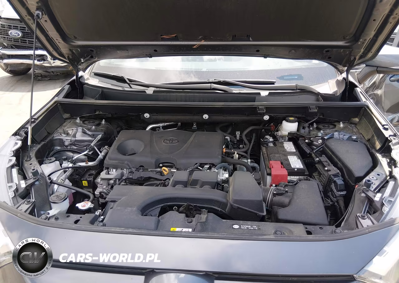 2023 Toyota Rav4 Xle VIN:2T3W1RFV8PC216636 - 10
