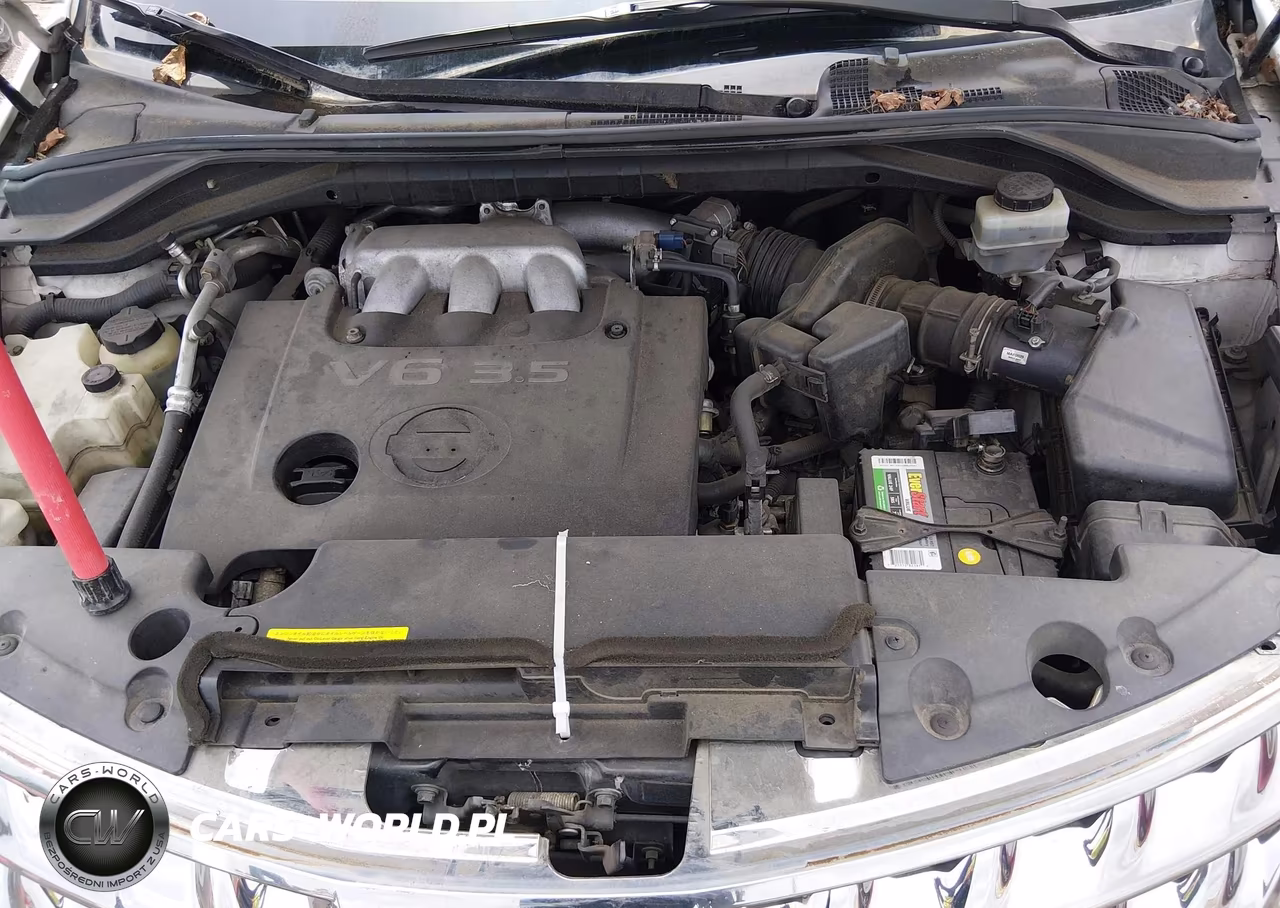 2006 Nissan Murano Sl VIN:JN8AZ08T96W405762 - 10