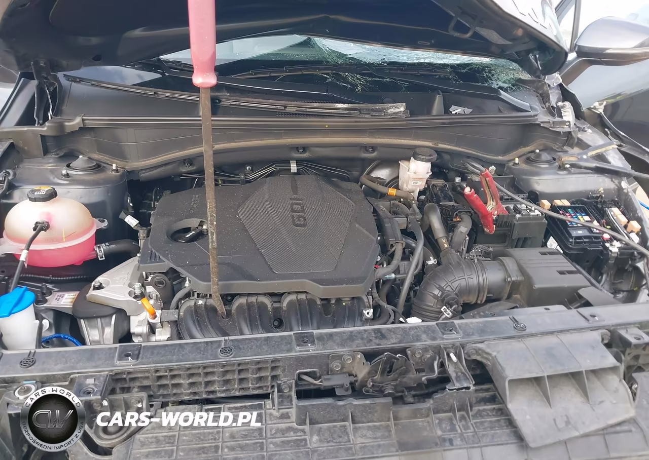 2023 Kia Sportage Ex VIN:5XYK33AF8PG096307 - 10