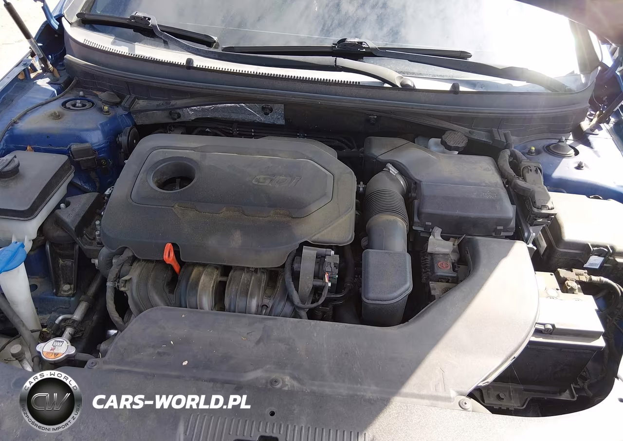 2015 Hyundai Sonata Se VIN:5NPE24AF4FH179052 - 10