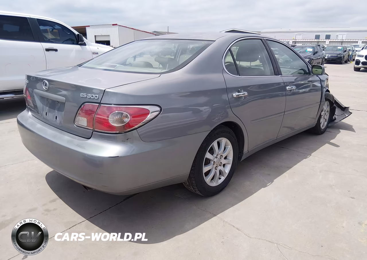 2002 Lexus Es 300 VIN:JTHBF30G325023332 - 4