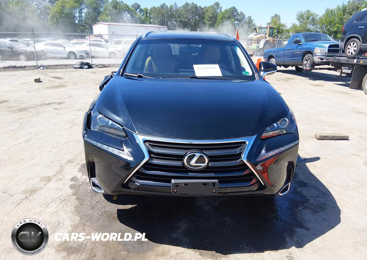 2016 Lexus Nx 200T VIN:JTJBARBZ1G2074559 - 12