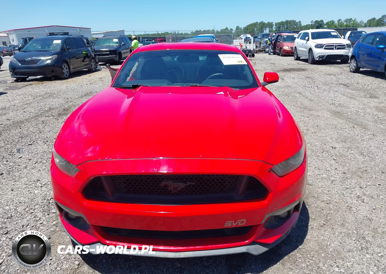 2017 Ford Mustang Ecoboost VIN:1FA6P8TH8H5343102 - 13