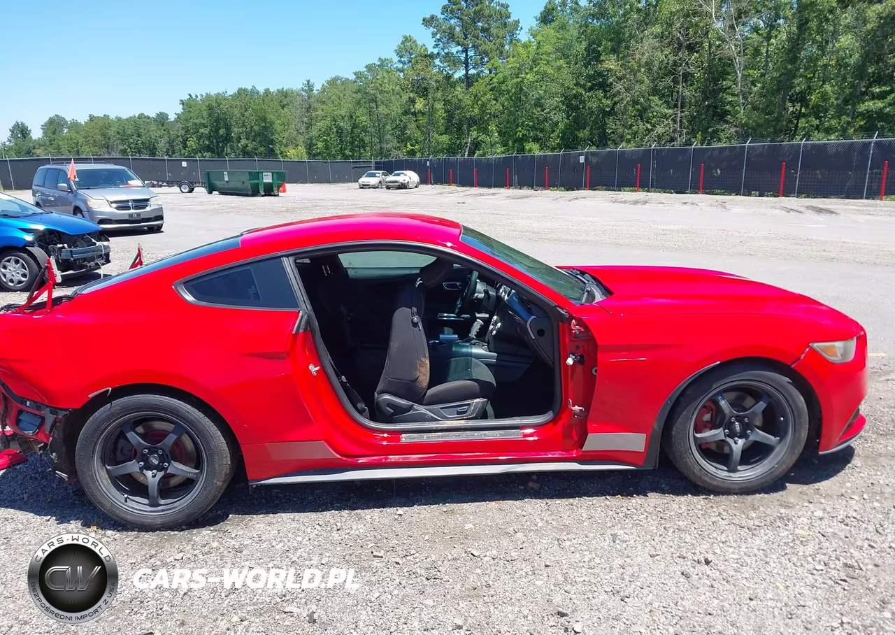 2017 Ford Mustang Ecoboost VIN:1FA6P8TH8H5343102 - 14