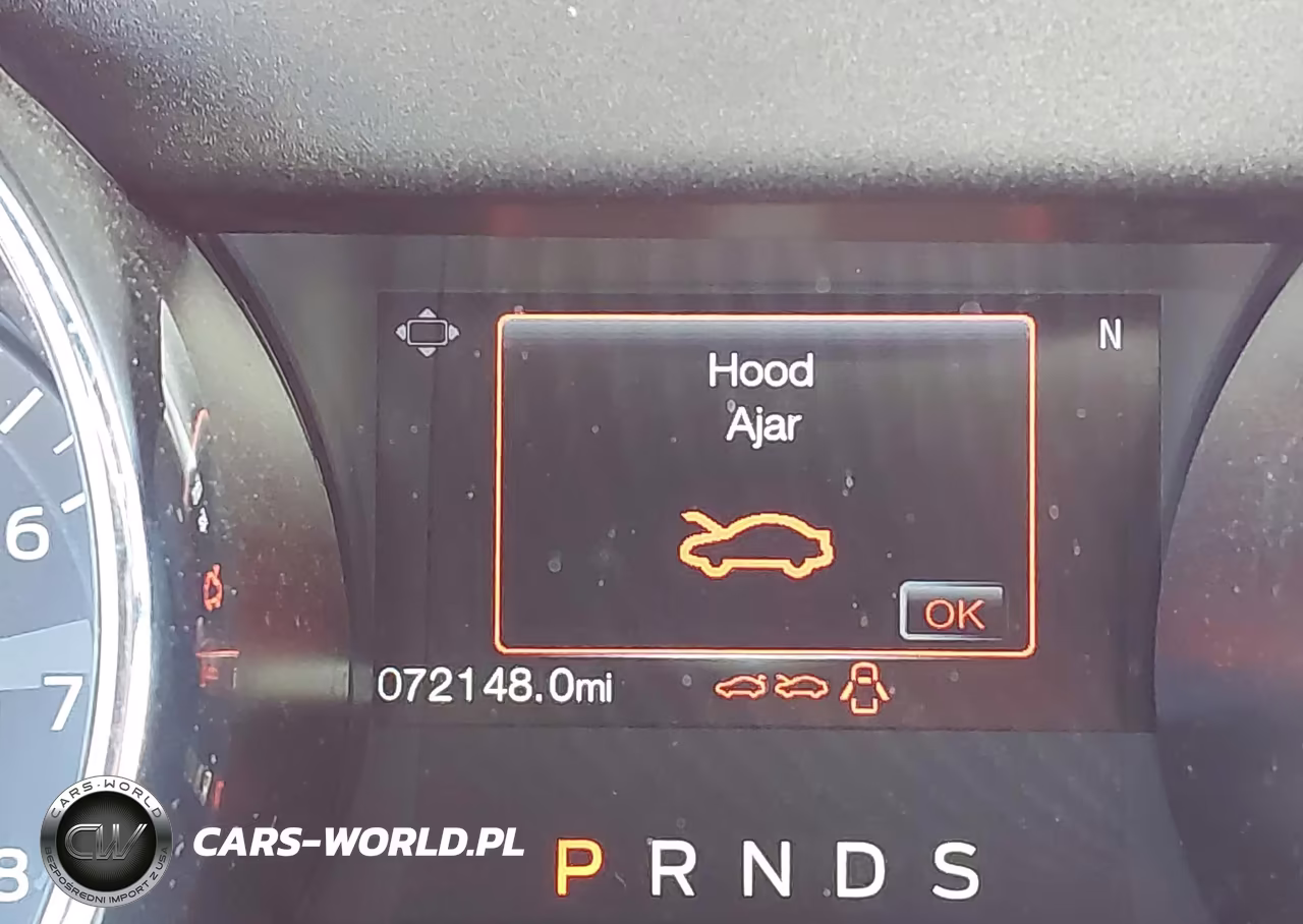 2017 Ford Mustang Ecoboost VIN:1FA6P8TH8H5343102 - 16