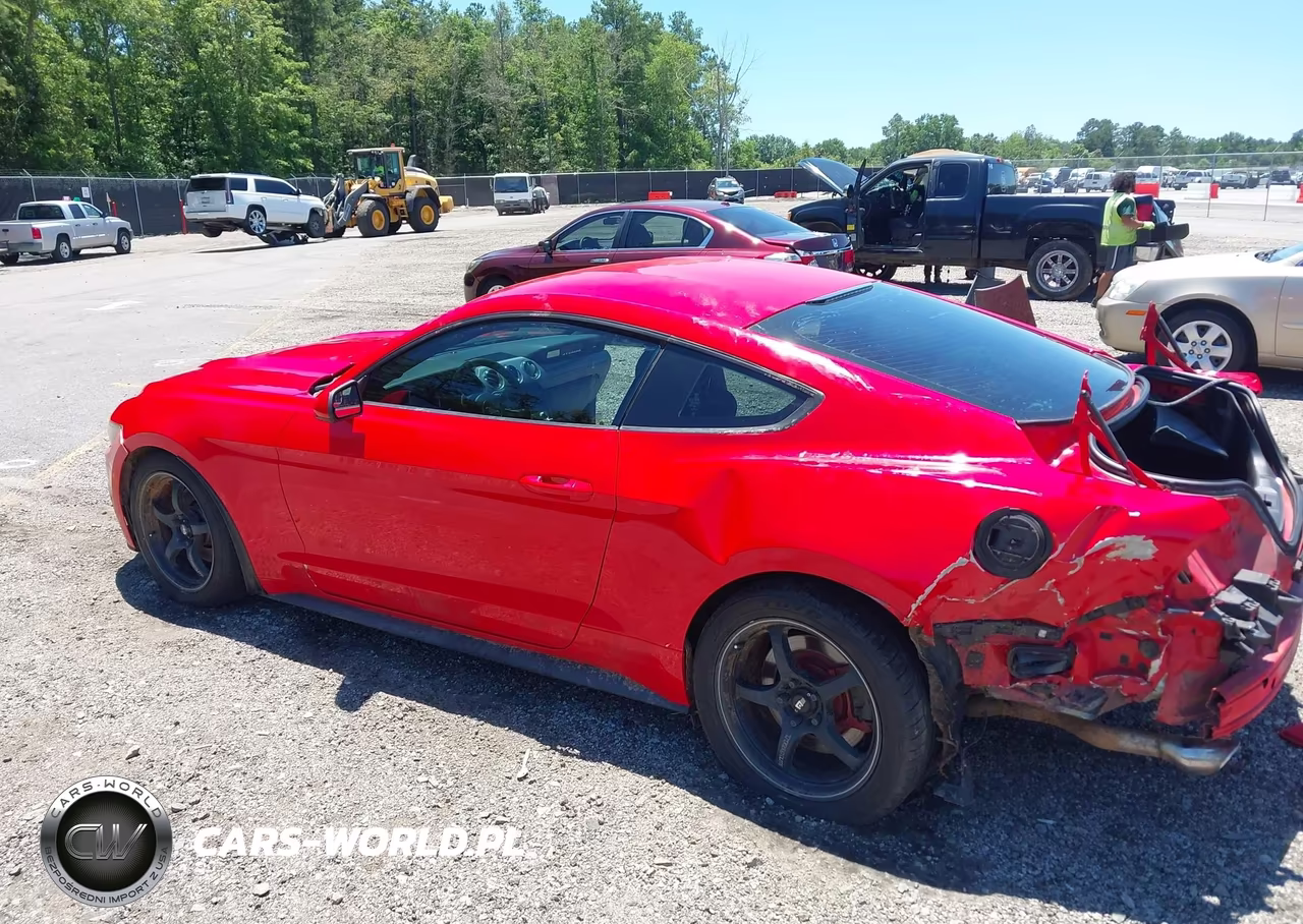2017 Ford Mustang Ecoboost VIN:1FA6P8TH8H5343102 - 3
