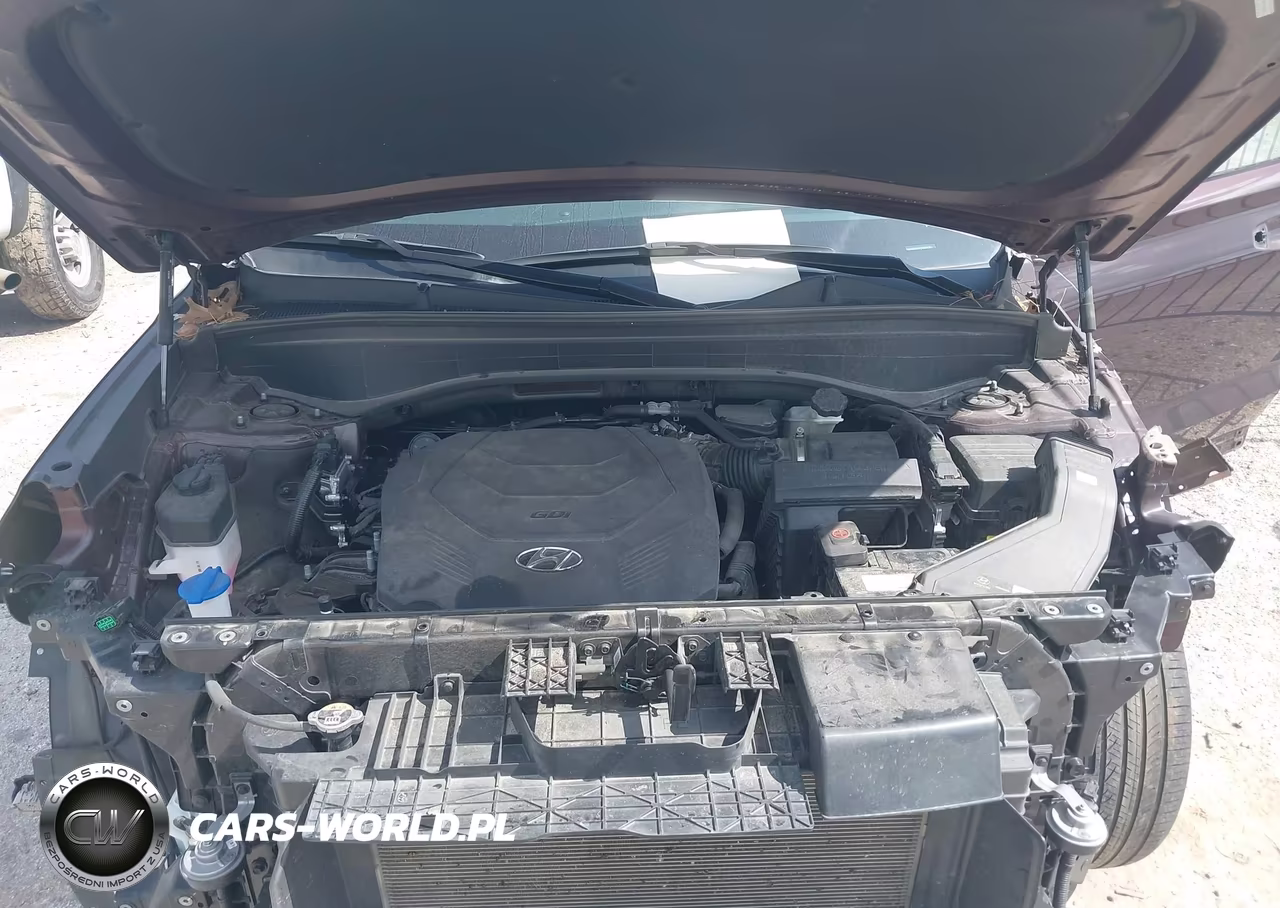 2024 Hyundai Palisade Sel VIN:KM8R44GE7RU696121 - 10