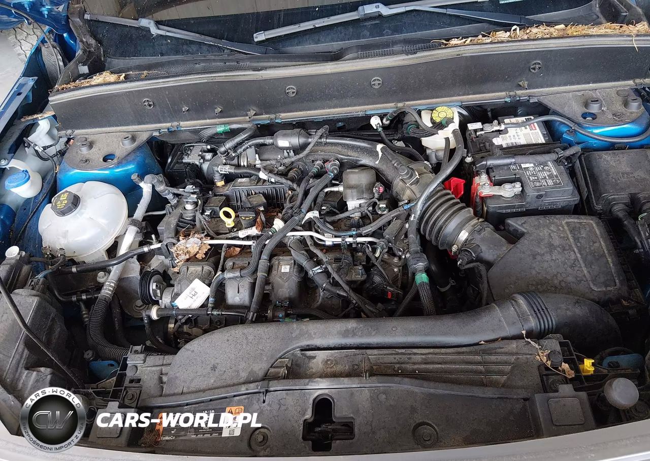 2022 Ford Bronco Sport Badlands VIN:3FMCR9D90NRD66804 - 10