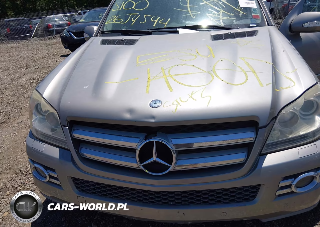 2007 Mercedes-Benz Gl 450 4Matic VIN:4JGBF71E57A269332 - 10