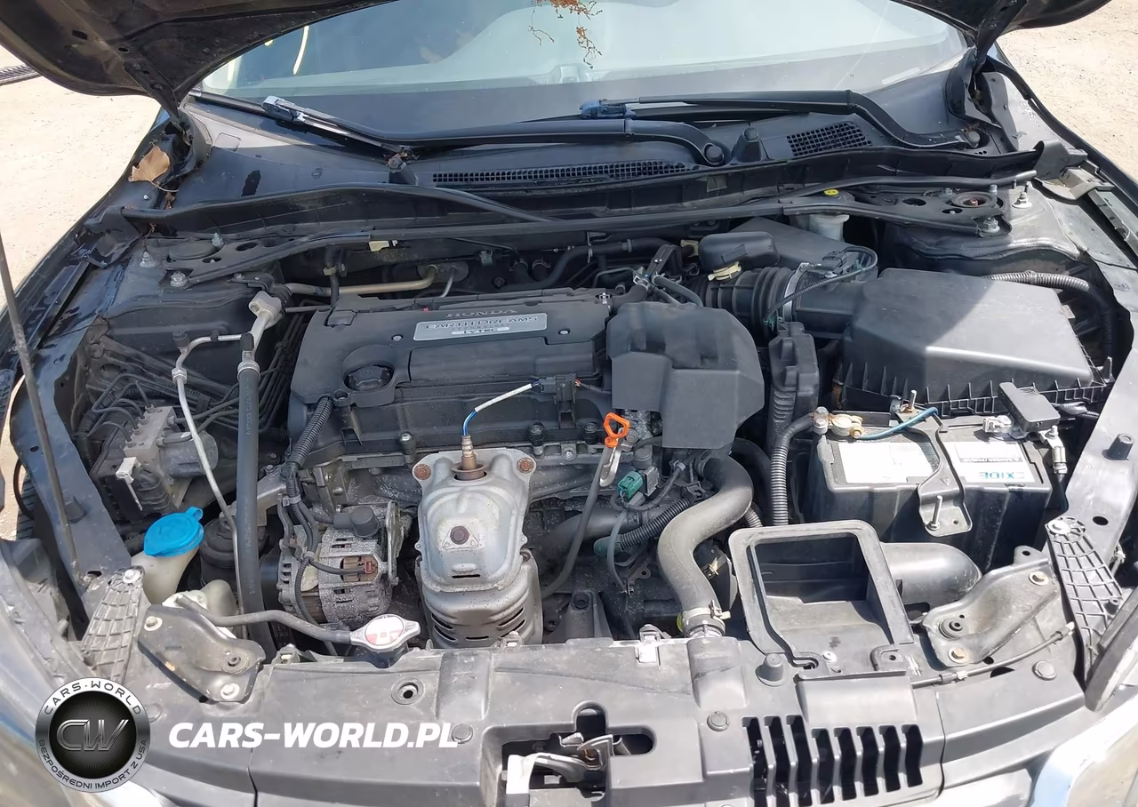 2013 Honda Accord Ex-L VIN:1HGCR2F84DA146172 - 10