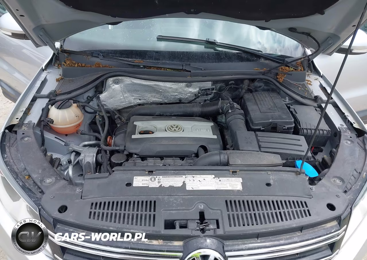 2013 Volkswagen Tiguan S VIN:WVGBV7AX9DW508593 - 10