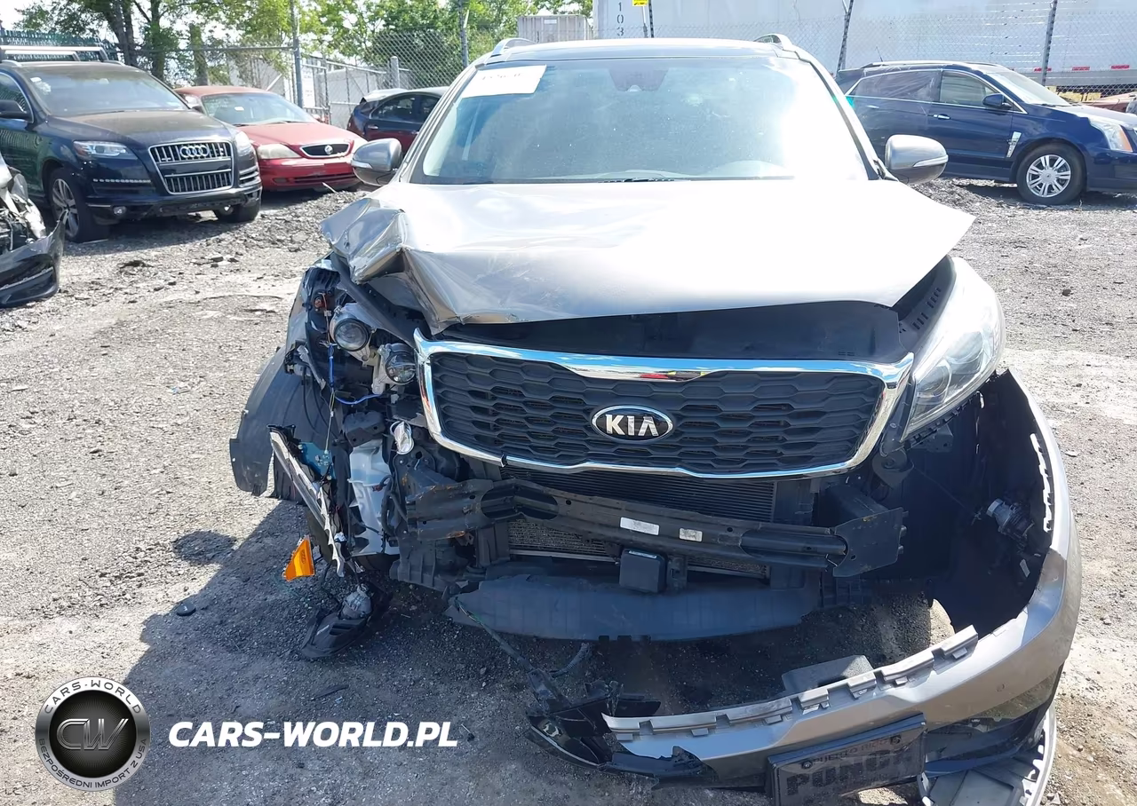 2019 Kia Sorento 3.3L Ex VIN:5XYPH4A50KG474925 - 12