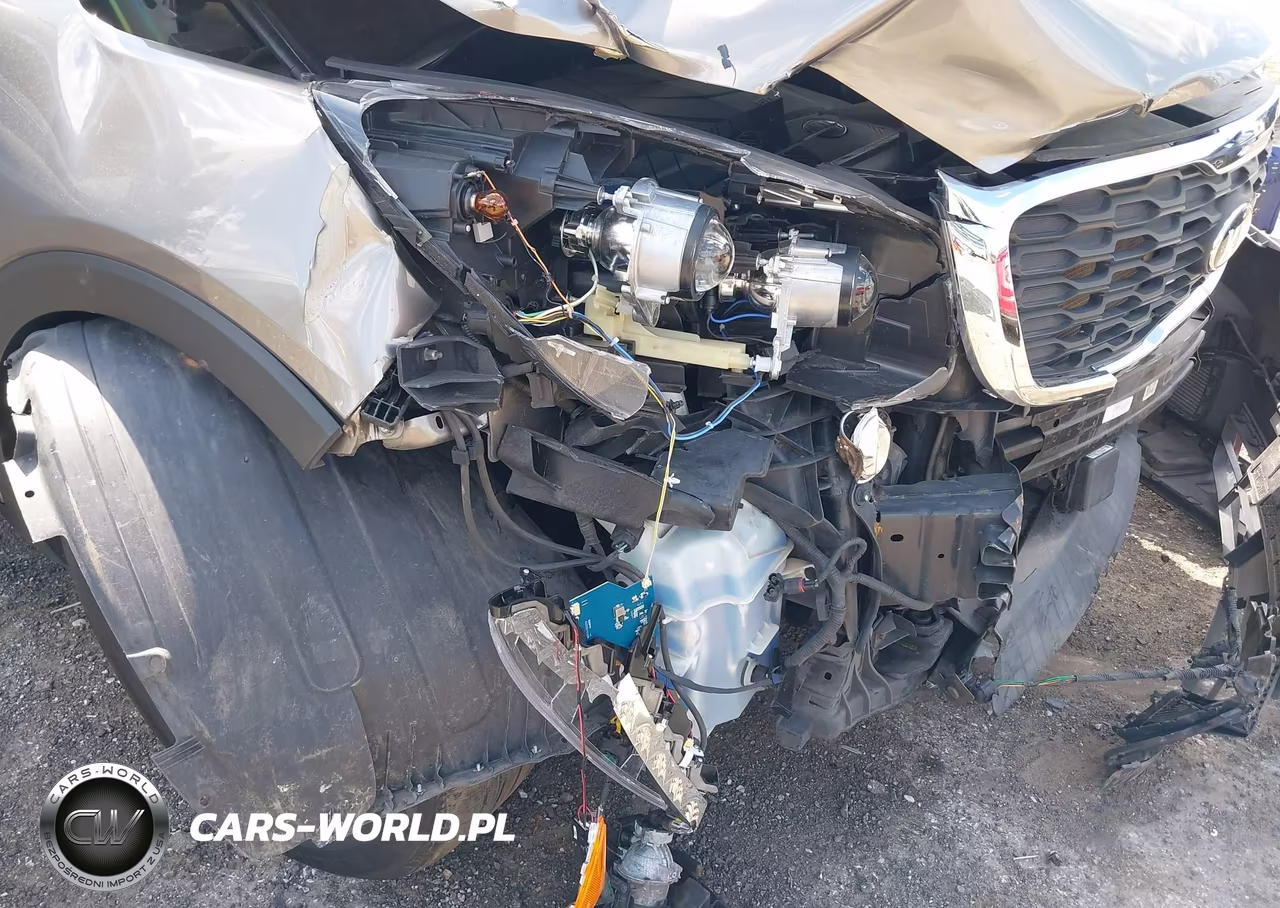 2019 Kia Sorento 3.3L Ex VIN:5XYPH4A50KG474925 - 6