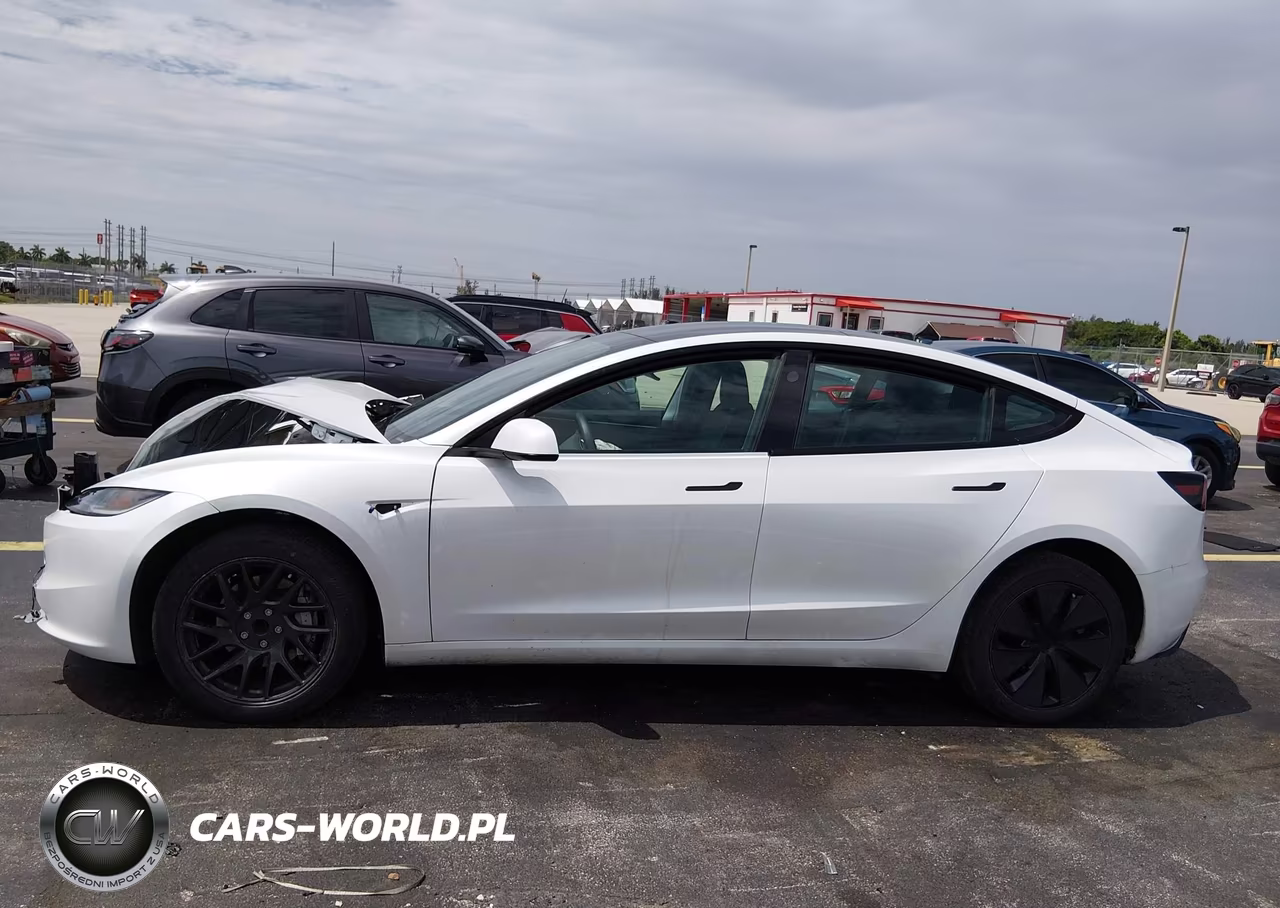 2025 Tesla Model 3 VIN:5YJ3E1EAXSF923435 - 14