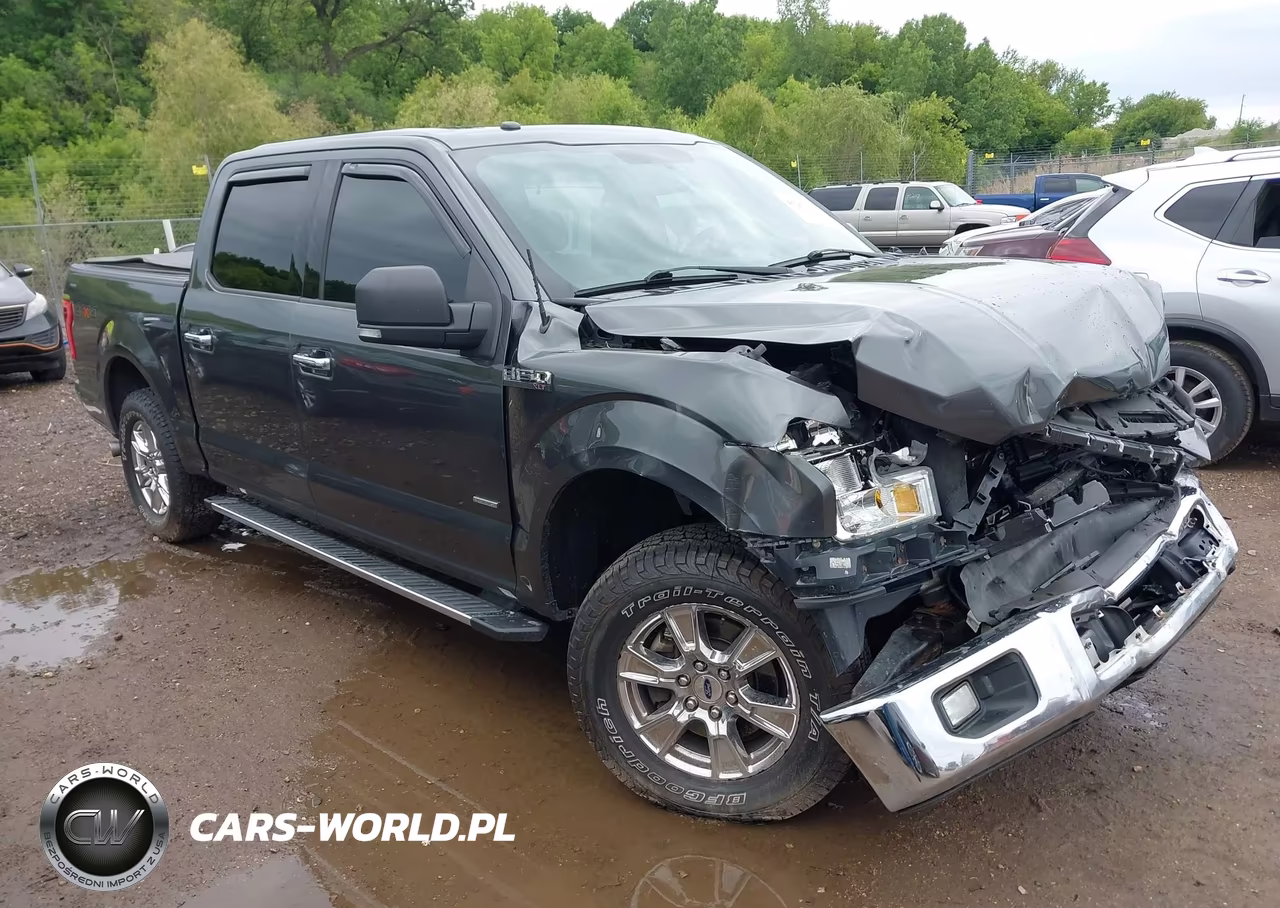 2016 Ford F-150 Xlt VIN:1FTEW1EP5GFC98925 - 1