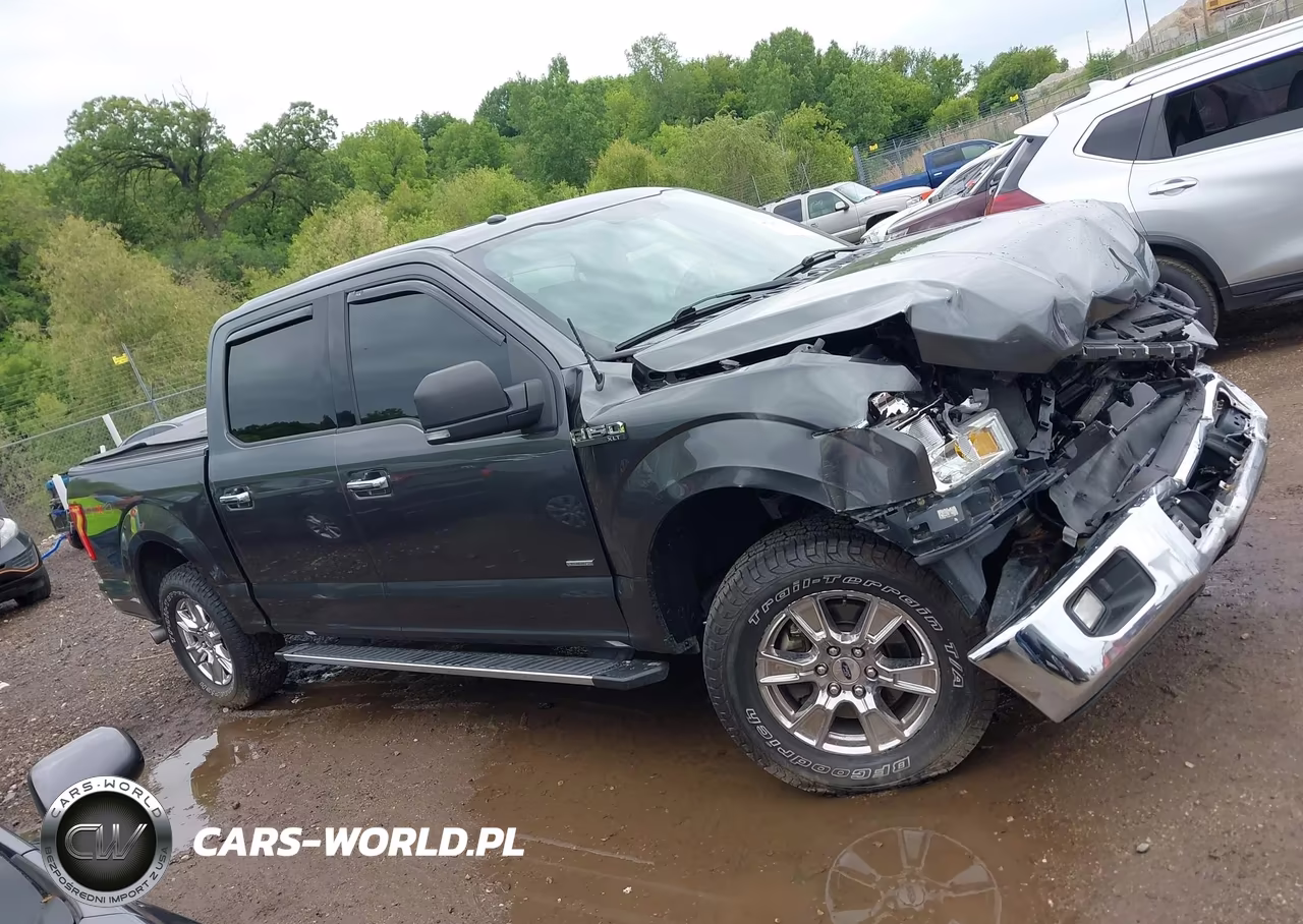 2016 Ford F-150 Xlt VIN:1FTEW1EP5GFC98925 - 13