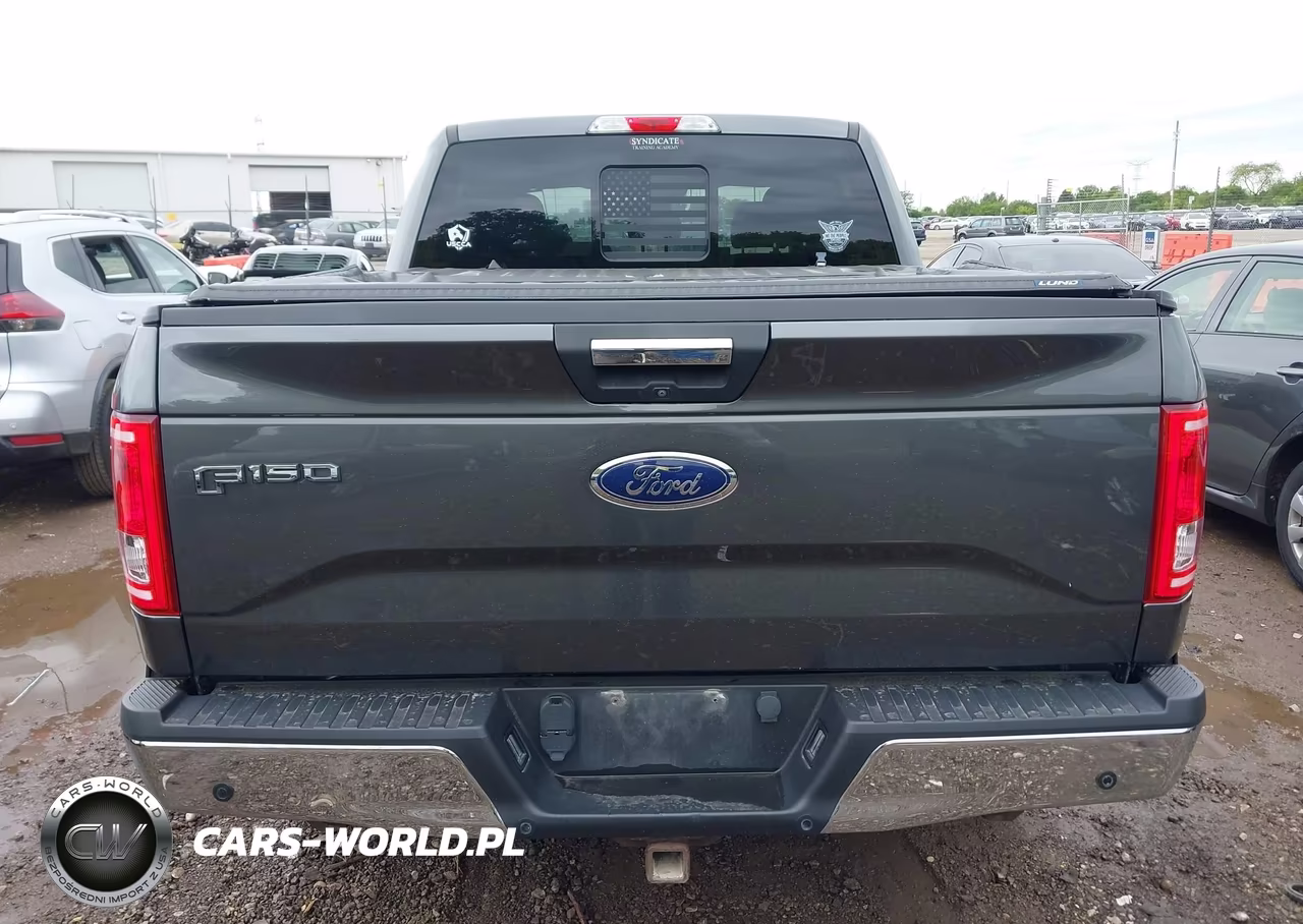 2016 Ford F-150 Xlt VIN:1FTEW1EP5GFC98925 - 16