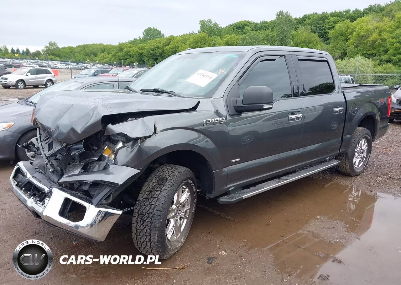 2016 Ford F-150 Xlt VIN:1FTEW1EP5GFC98925 - 2