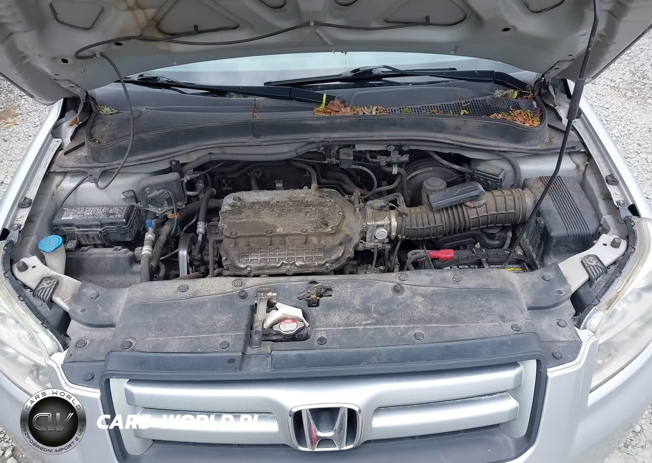 2006 Honda Pilot Lx VIN:2HKYF18126H538618 - 10
