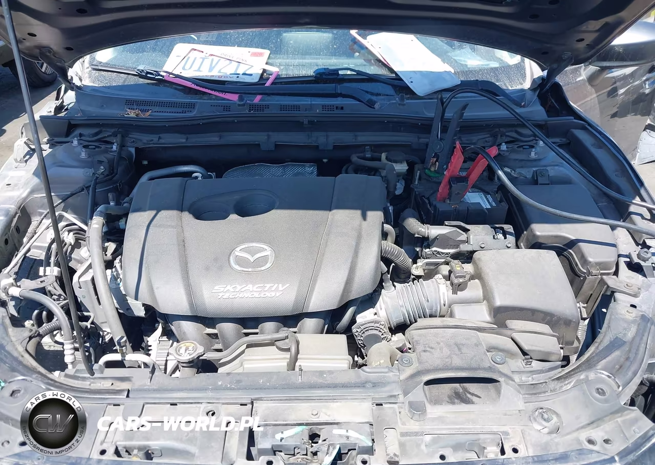 2016 Mazda Mazda3 I Sport VIN:3MZBM1T74GM318168 - 10