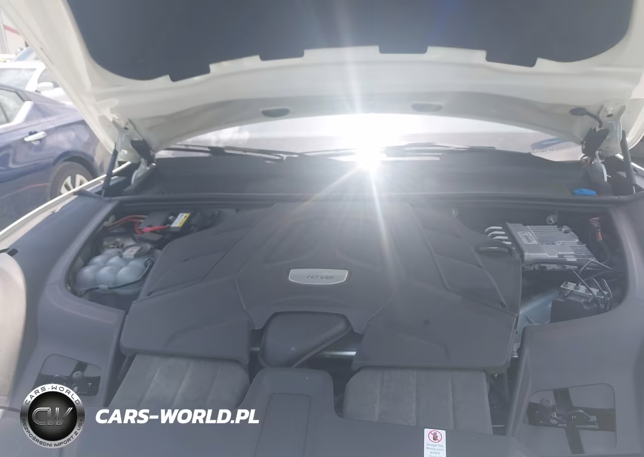 2022 Porsche Cayenne Platinum Edition VIN:WP1AA2AY9NDA04922 - 10
