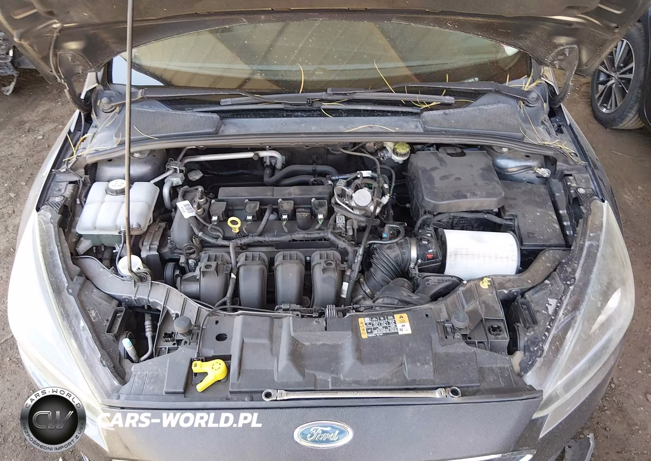2016 Ford Focus Se VIN:1FADP3K28GL340346 - 10