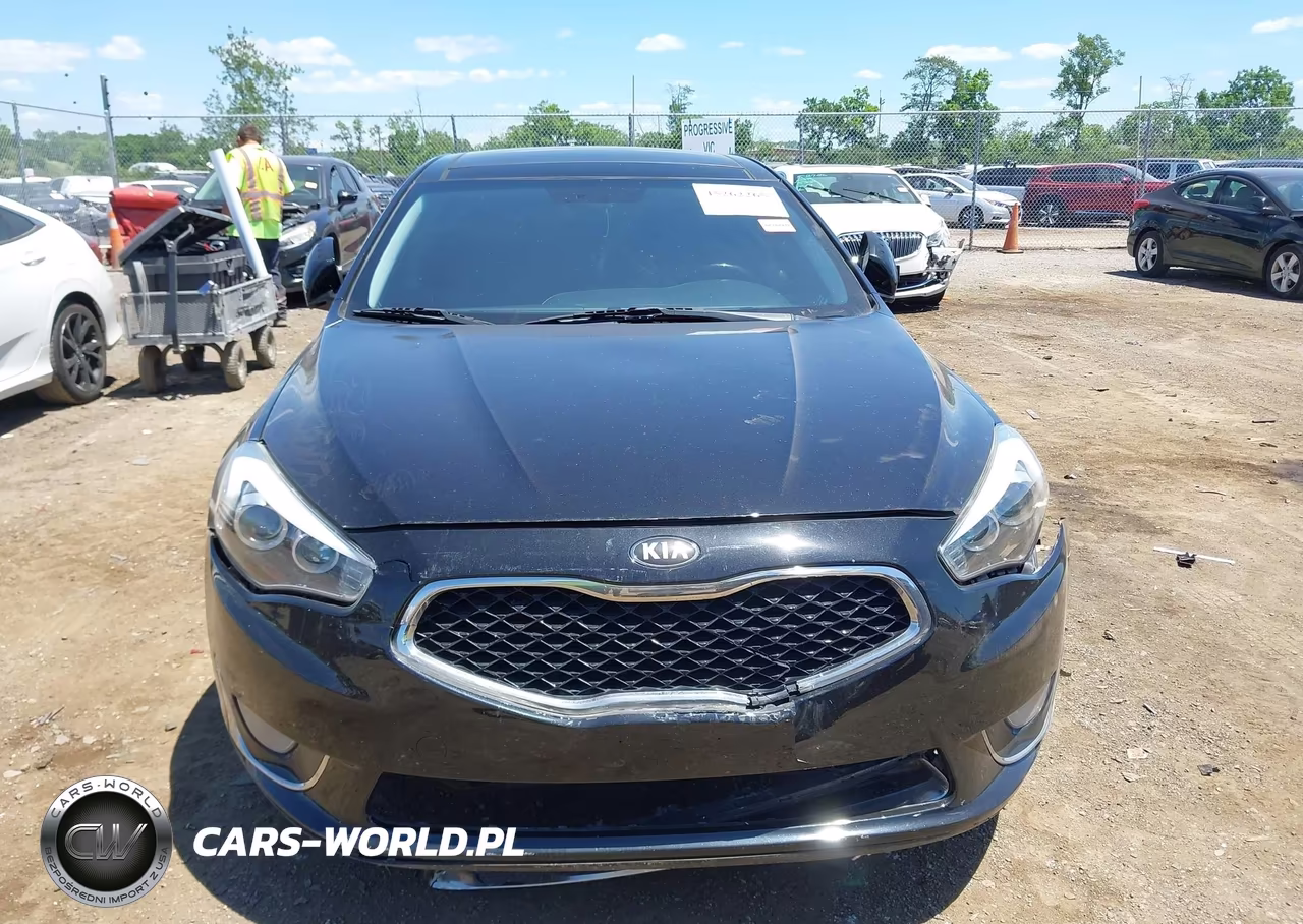 2015 Kia Cadenza Premium VIN:KNALN4D7XF5174910 - 11