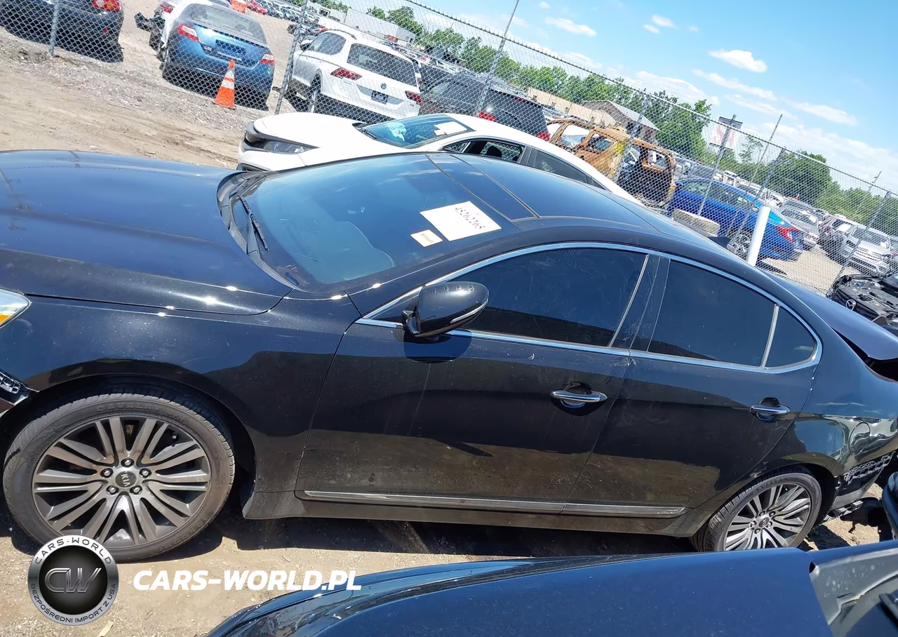 2015 Kia Cadenza Premium VIN:KNALN4D7XF5174910 - 13