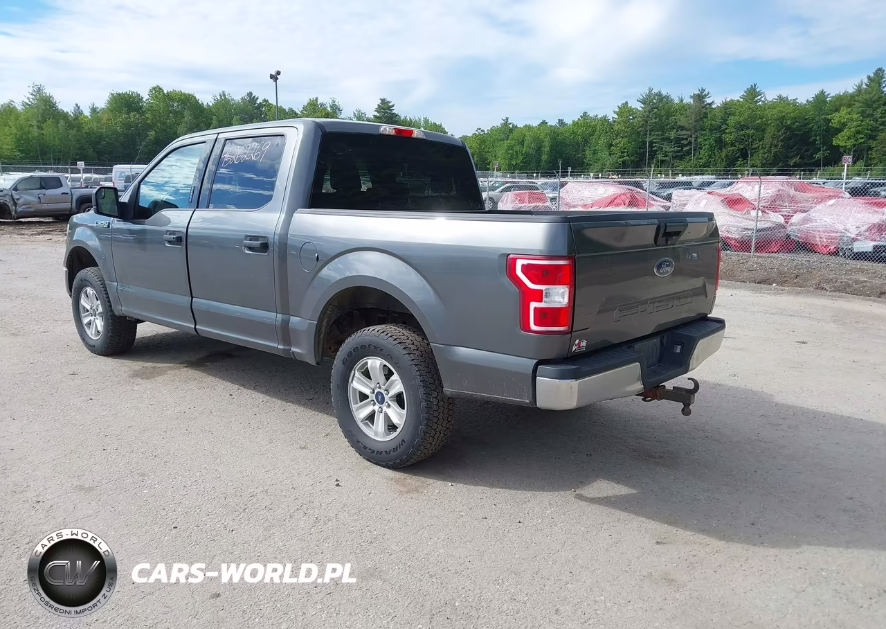 2019 Ford F-150 Xlt VIN:1FTEW1E57KFB96677 - 3