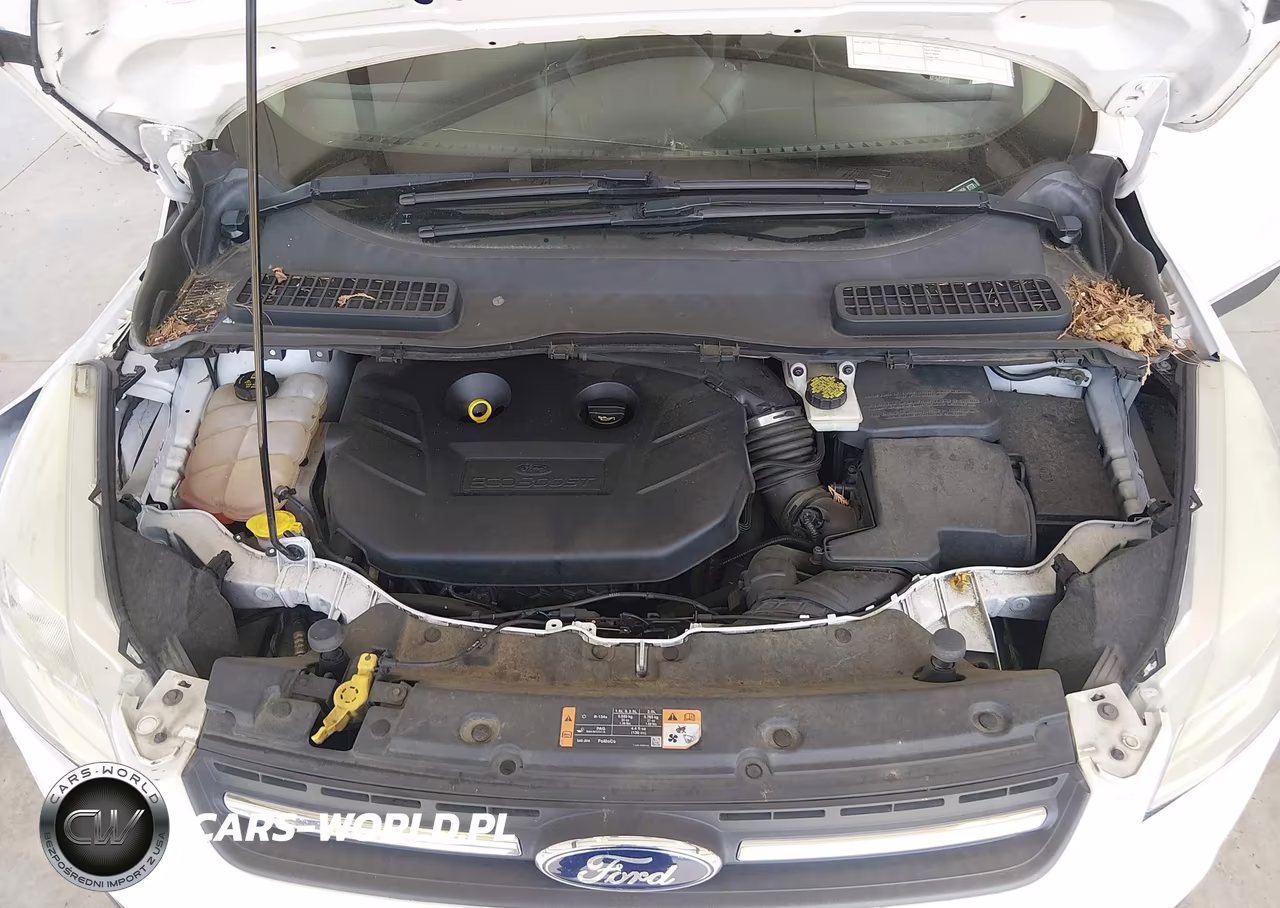 2014 Ford Escape Se VIN:1FMCU9G91EUE01806 - 10