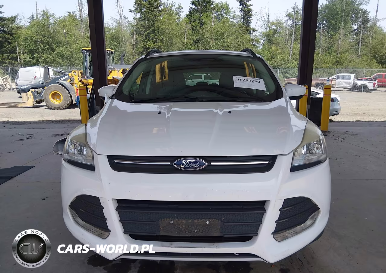2014 Ford Escape Se VIN:1FMCU9G91EUE01806 - 12