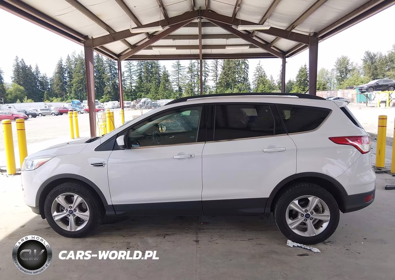 2014 Ford Escape Se VIN:1FMCU9G91EUE01806 - 14