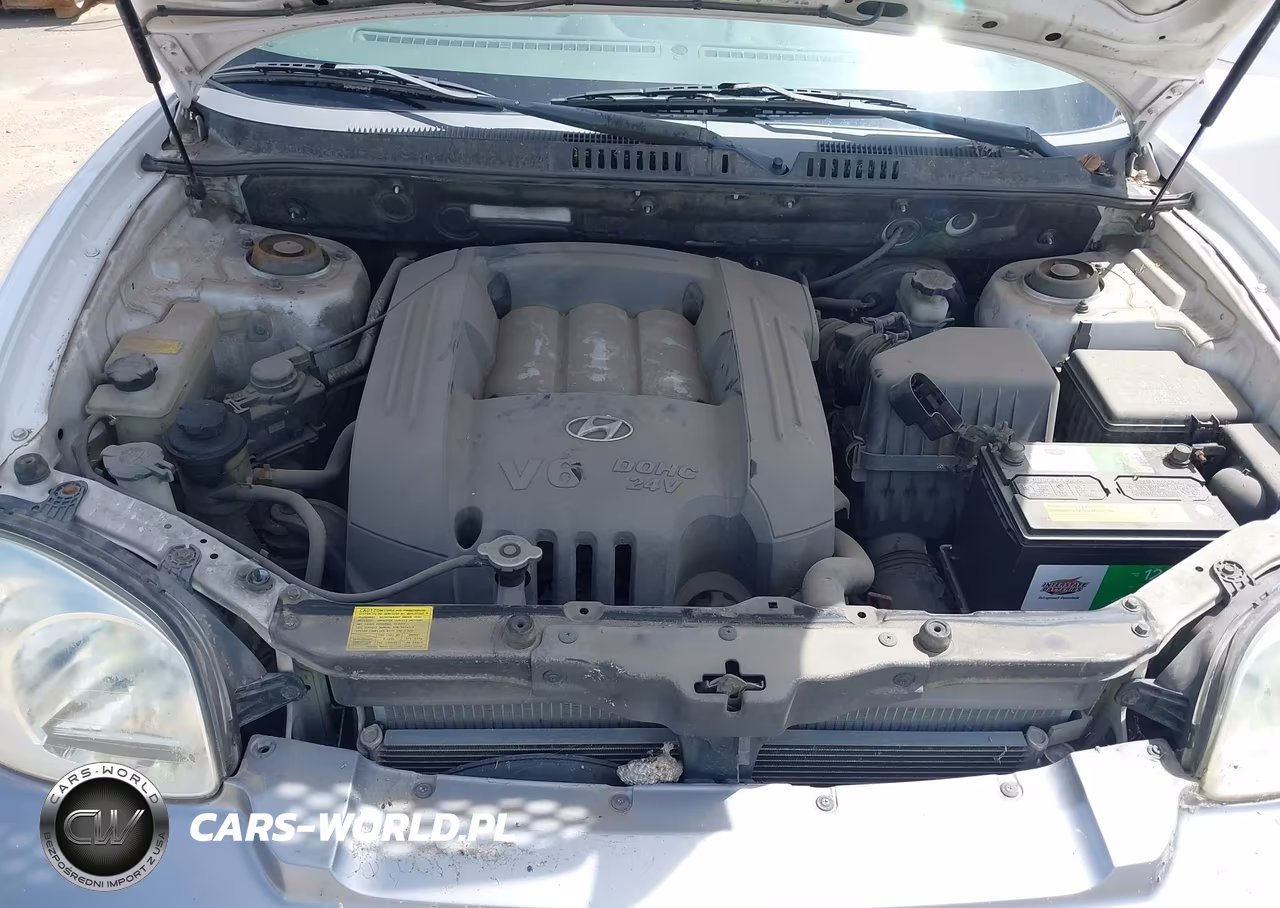 2004 Hyundai Santa Fe Gls VIN:KM8SC13D24U649183 - 10