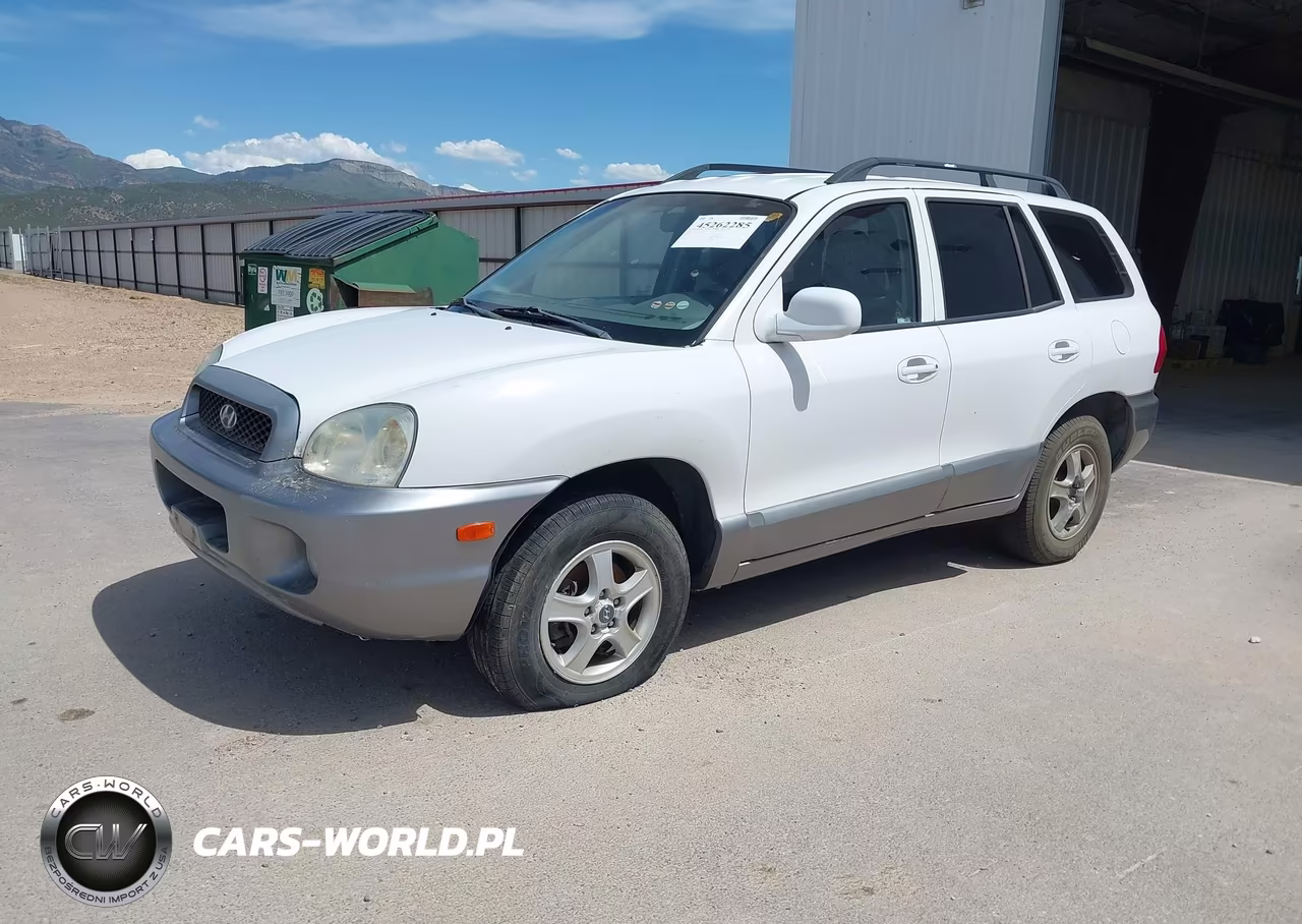 2004 Hyundai Santa Fe Gls VIN:KM8SC13D24U649183 - 2