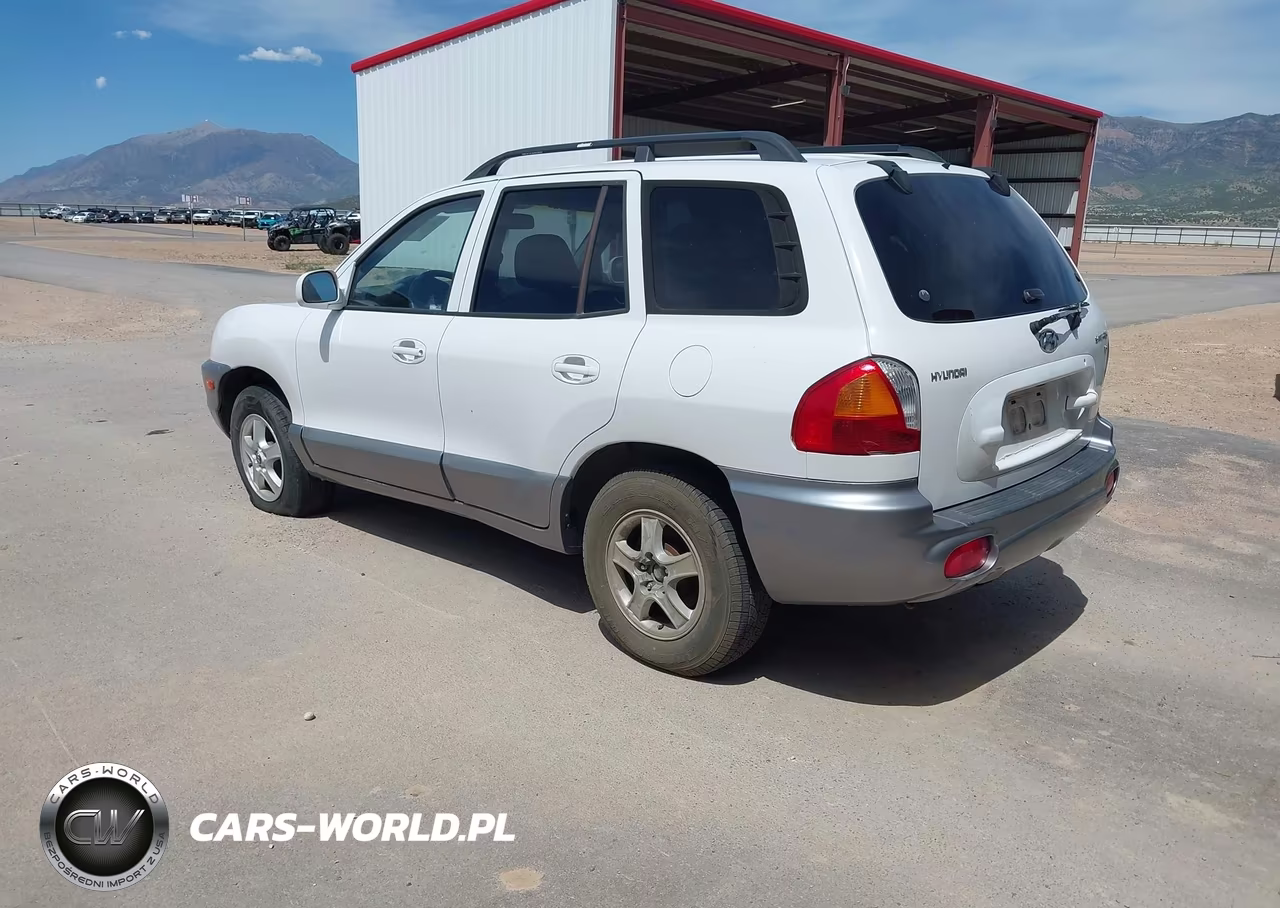 2004 Hyundai Santa Fe Gls VIN:KM8SC13D24U649183 - 3