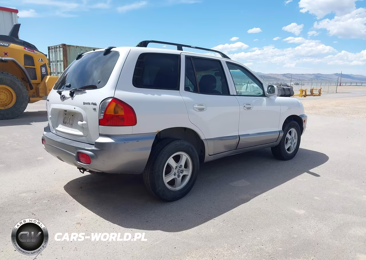 2004 Hyundai Santa Fe Gls VIN:KM8SC13D24U649183 - 4