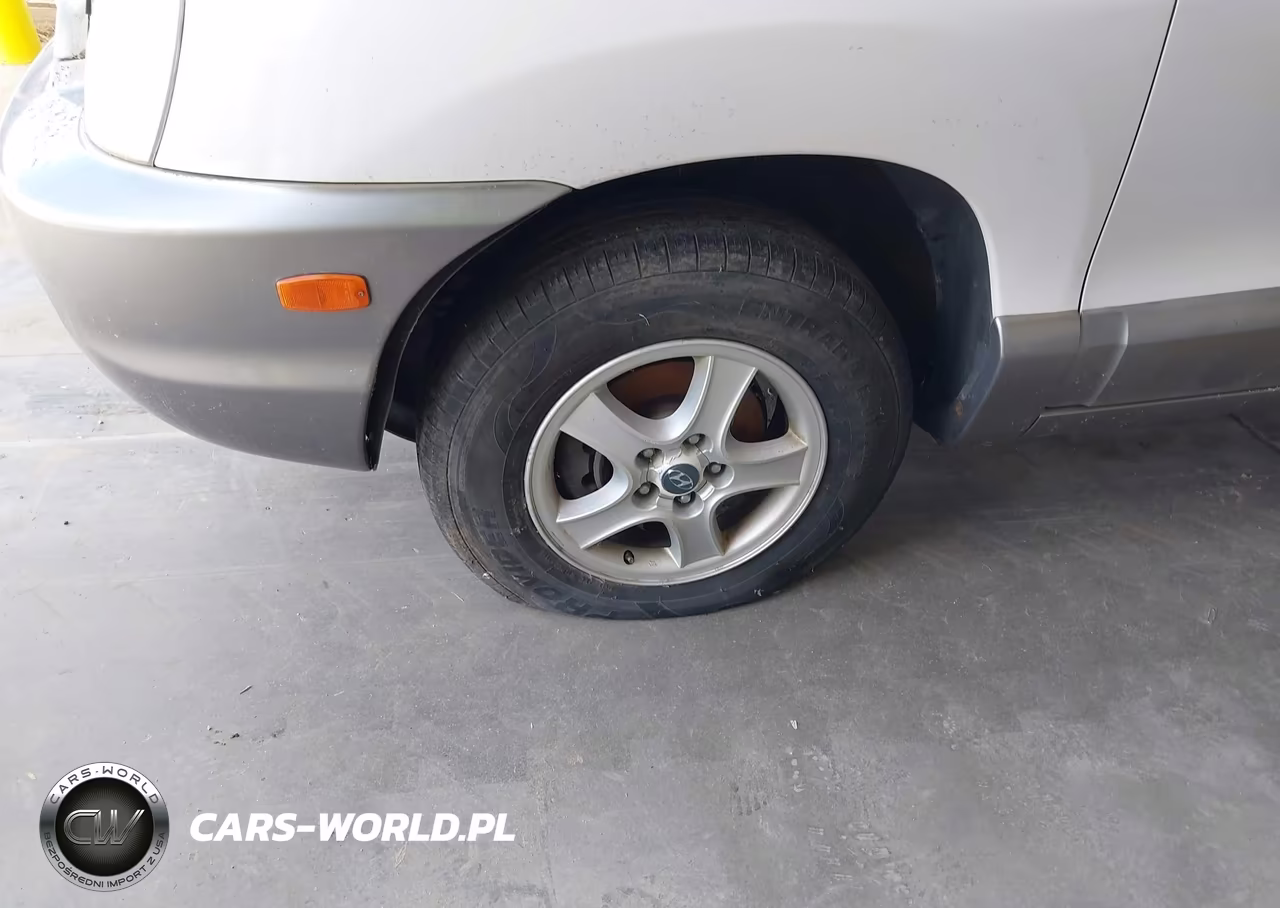 2004 Hyundai Santa Fe Gls VIN:KM8SC13D24U649183 - 6