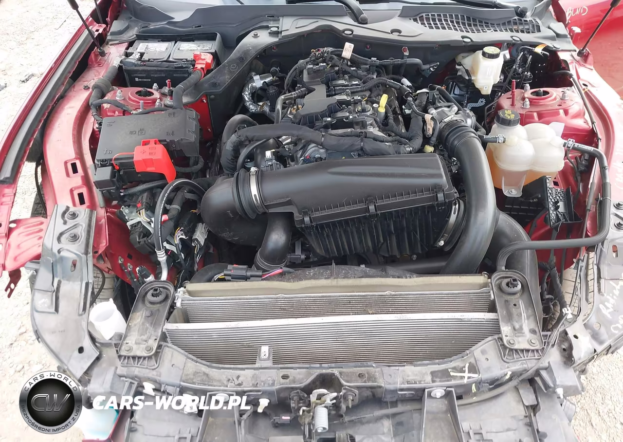 2024 Ford Mustang Ecoboost Premium Fastback VIN:1FA6P8TH1R5111782 - 10