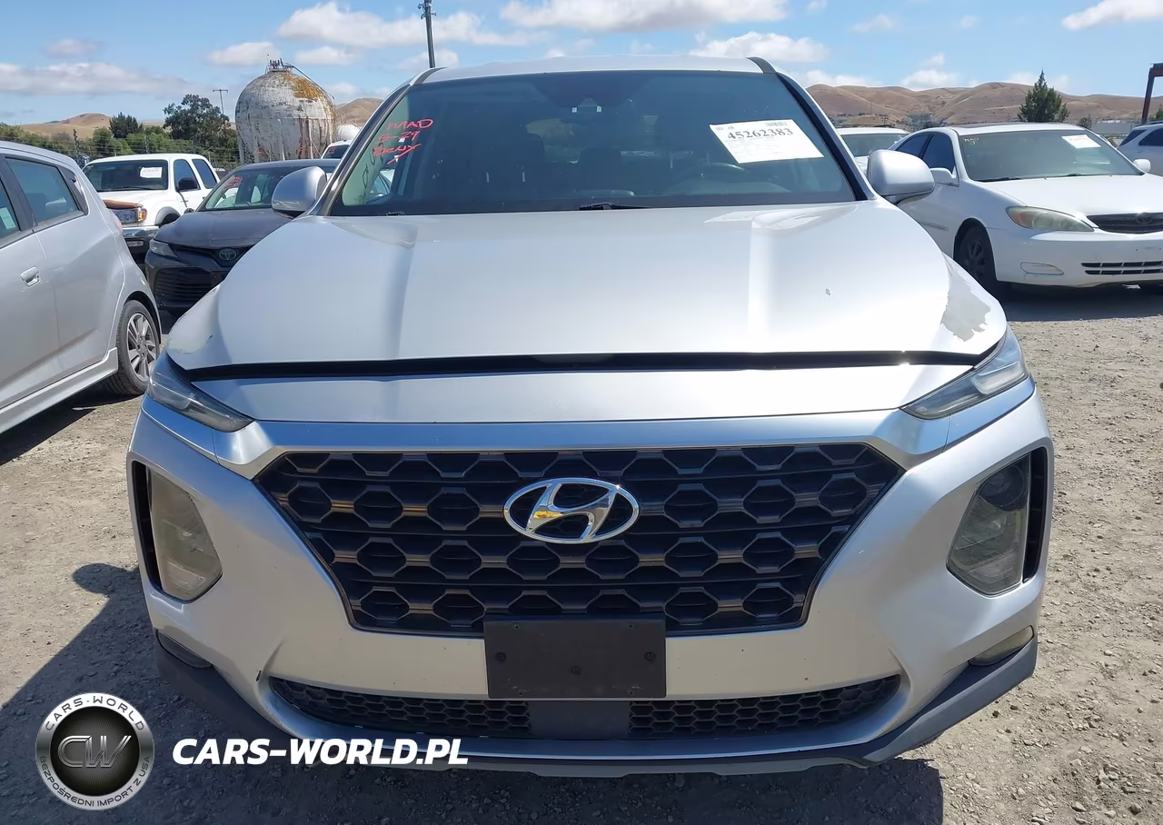 2019 Hyundai Santa Fe Sel VIN:5NMS3CAD8KH028750 - 12