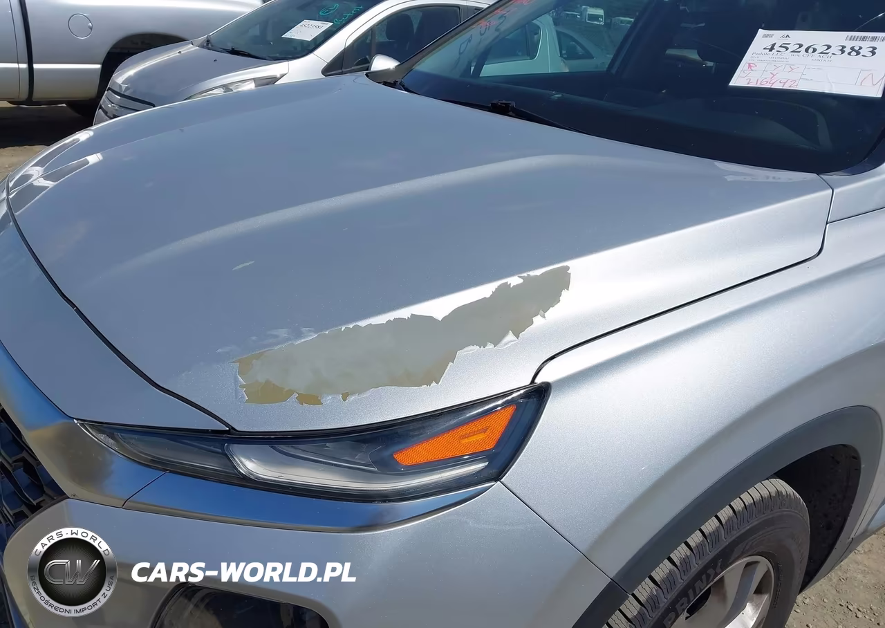 2019 Hyundai Santa Fe Sel VIN:5NMS3CAD8KH028750 - 6