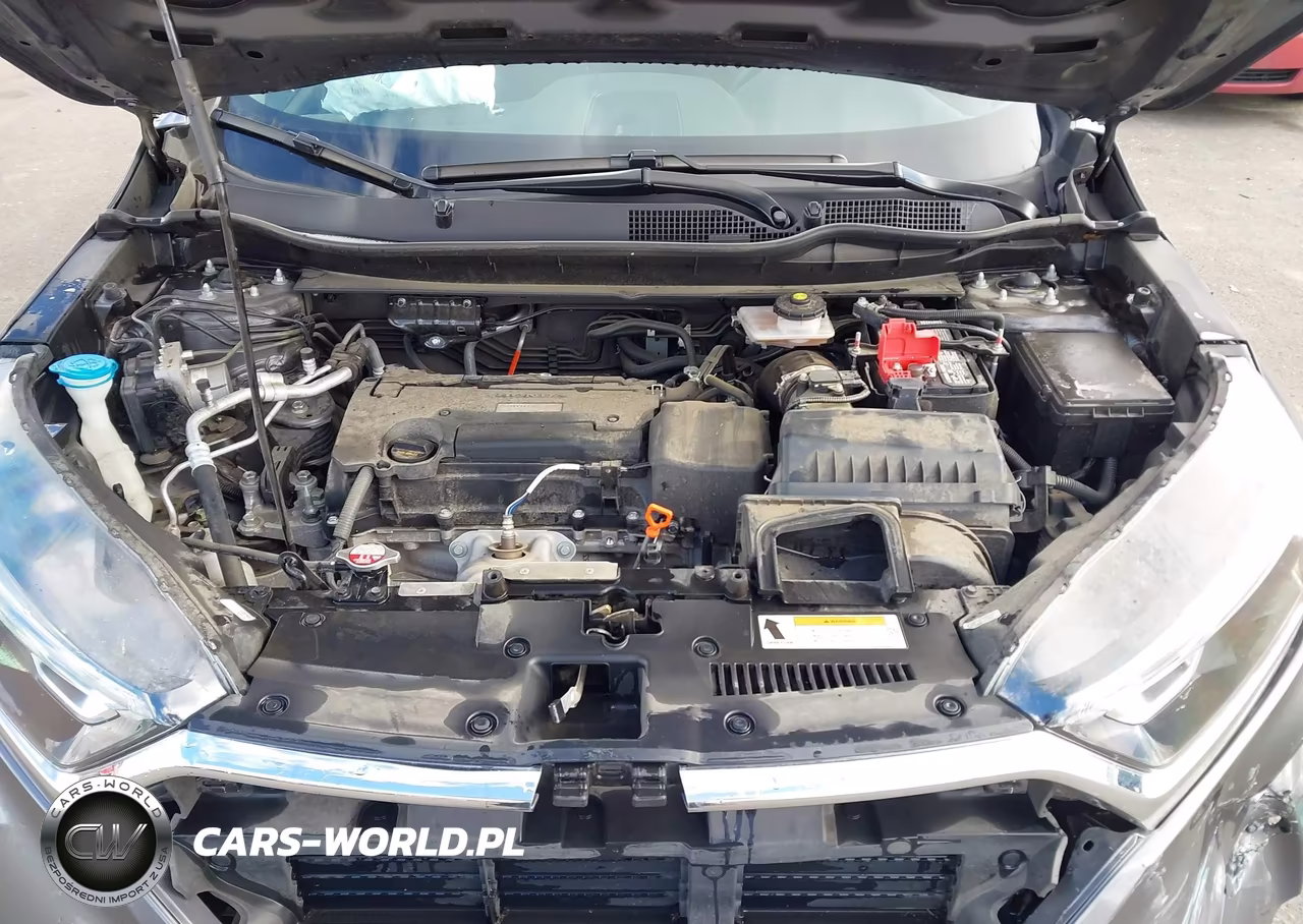 2019 Honda Cr-V Lx VIN:5J6RW6H36KL001334 - 10