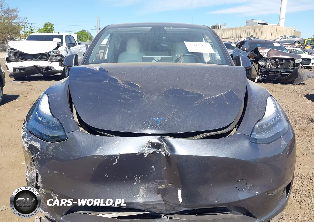 2021 Tesla Model Y Long Range Dual Motor All-Wheel Drive VIN:5YJYGAEEXMF136894 - 11