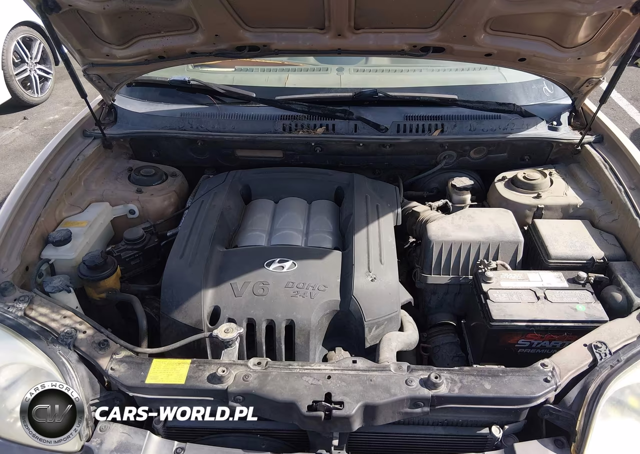 2004 Hyundai Santa Fe Gls VIN:KM8SC13DX4U818477 - 10
