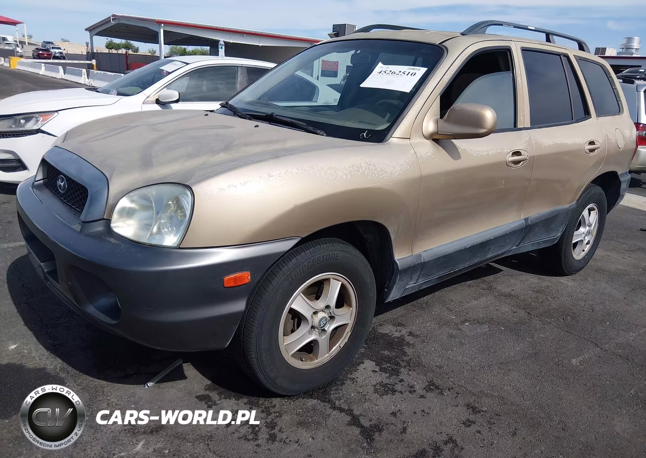 2004 Hyundai Santa Fe Gls VIN:KM8SC13DX4U818477 - 2