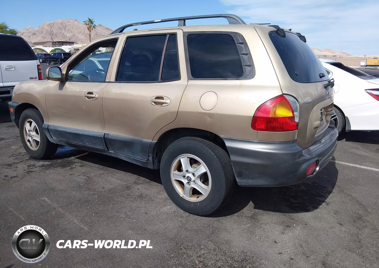 2004 Hyundai Santa Fe Gls VIN:KM8SC13DX4U818477 - 3